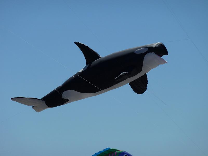 Fanø 2010 050.JPG